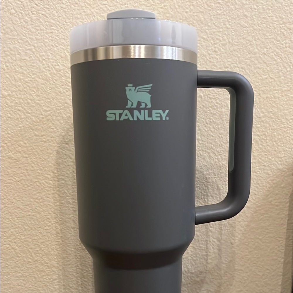 Stanley Gray & Mint Tumbler